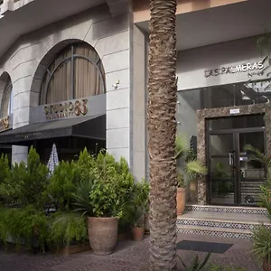 Palmeras Marrakesh